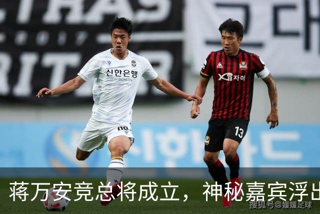 蒋万安竞总将成立，神秘嘉宾浮出水面？赵少康又专访绿营候选人